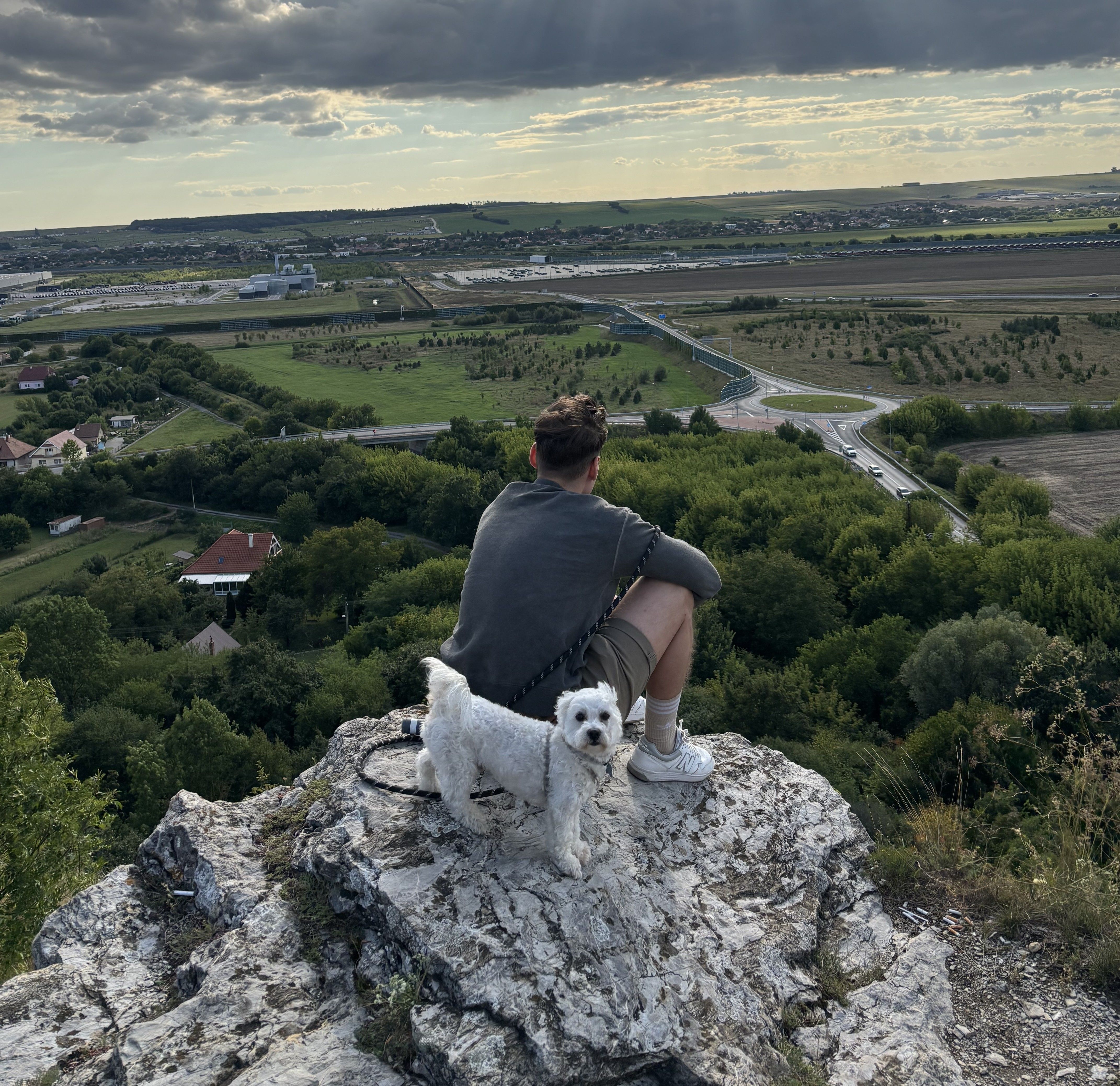 Person and white dog on a cliff overlook a sprawling green valley.