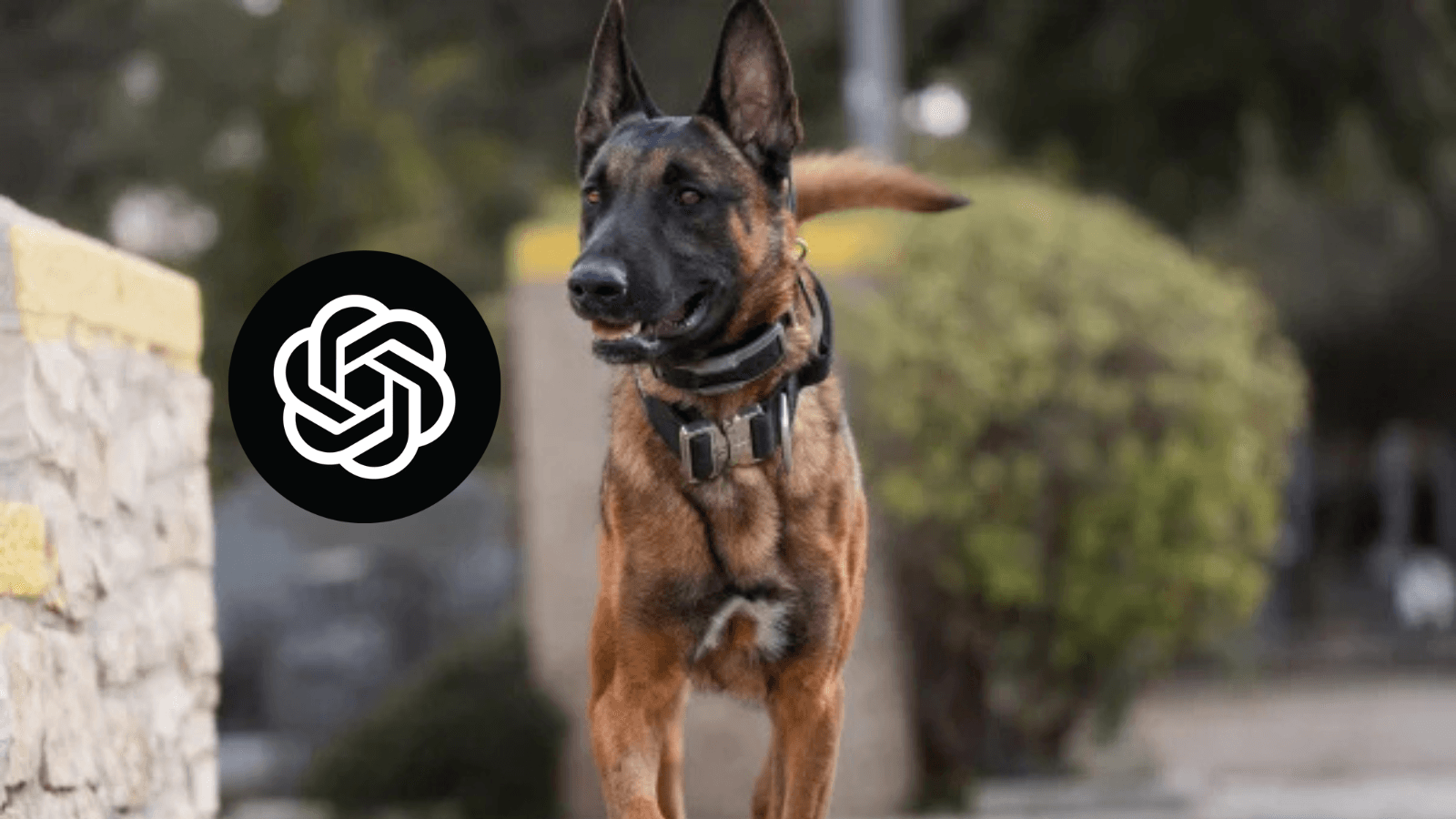 Mesterséges intelligencia segíthet a rák elleni mRNS-vakcinák fejlesztésében